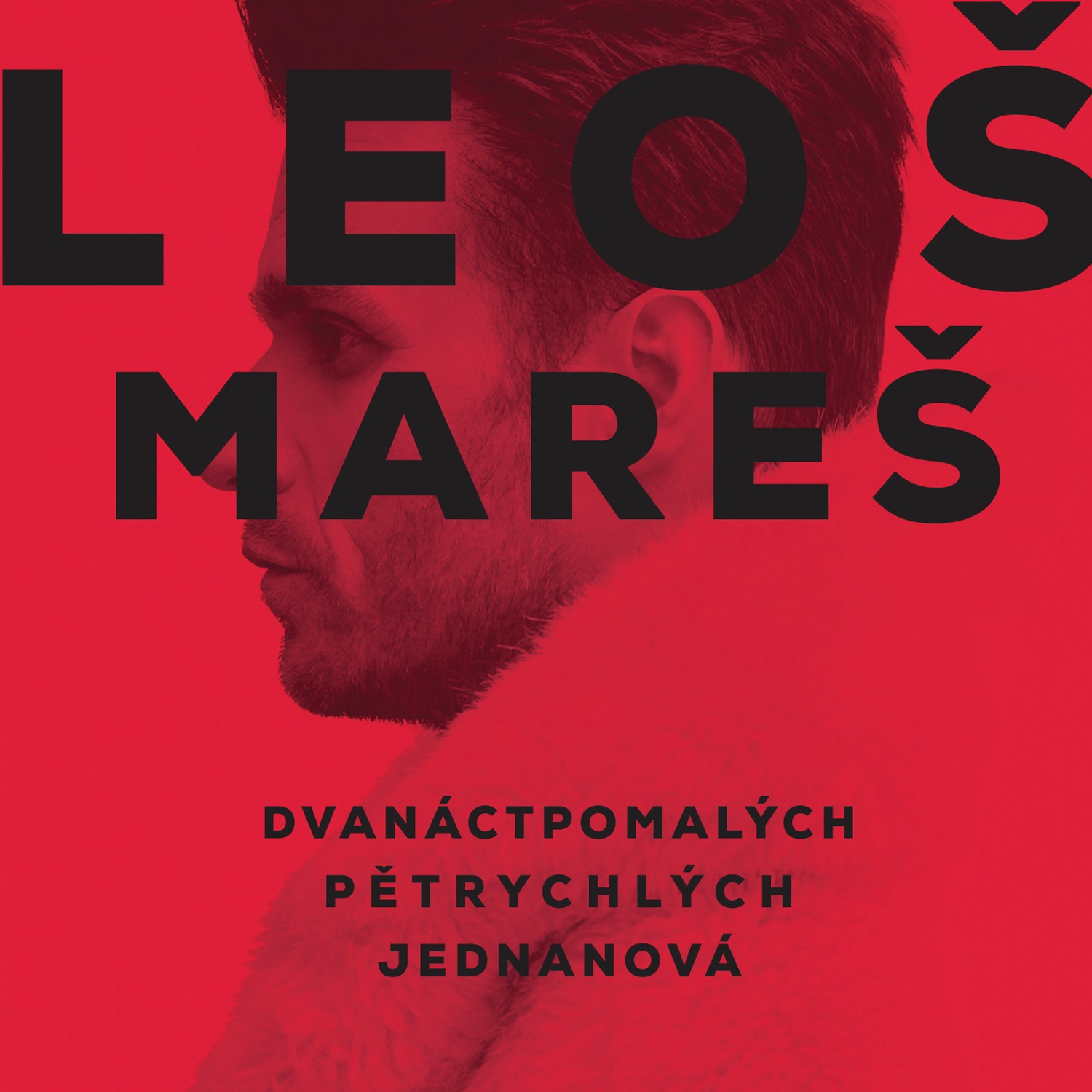 Leoš Mareš - Tři slova