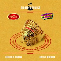 Sorbito de Champán - Bonita y Mentirosa (feat. Billo's & Chicha Libre) [Desorden Público rinde Homenaje al Indio Pastor López ft Billo's & Chicha Libre] - Single - Desorden Público