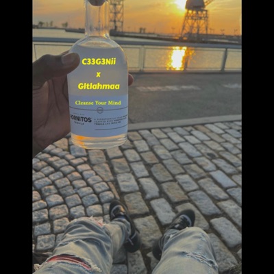 cleanse your mind (feat. Gltlahmaa) - Single
