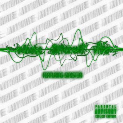 Whole Different Vibe (feat. SIN1ST3R) - Single