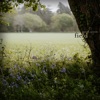 Field - Single