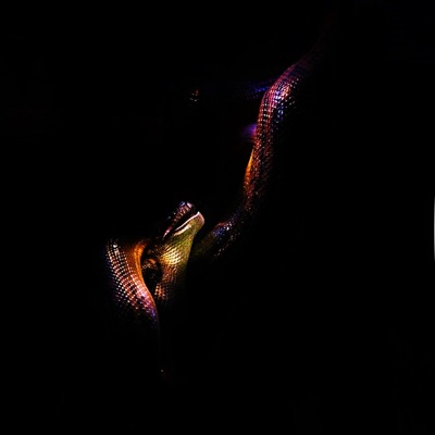 2 Dirty Hoes - Single