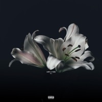 Love // Pain - Single - HYVNG LVRD