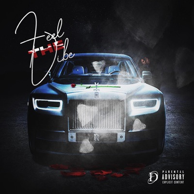 Feel the Vibe - Single