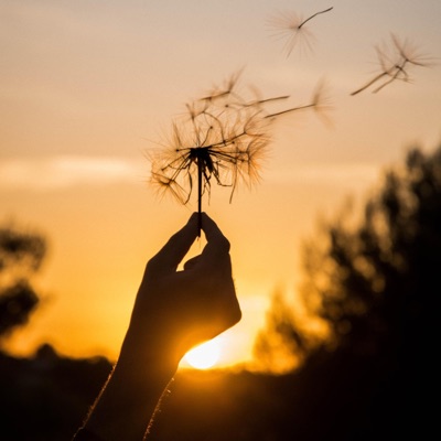 the only one - Single