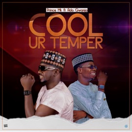 Cool Your Temper (feat. Ado Gwanja) Prince Mk Baagi
