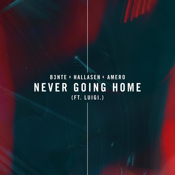 Never Going Home (feat. Luigi Neighbours)