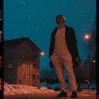 Tyhmä, Nuori, Vapaa - Purso