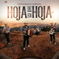De Hoja En Hoja - Single - Inteligencia Norteña