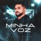 Minha Voz - Felipe Nunes lyrics