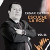 ESCUCHE LA VOZ