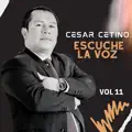 cetino