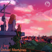 Untold Memories - J Brij.