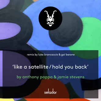 Hold You Back (Luke Brancaccio & Gai Barone Remix) by Anthony Pappa & Jamie Stevens song reviws