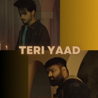 Teri Yaad - Single - Sanan Khalid, Mubeen Butt & Jayyke