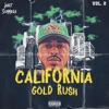 California Gold Rush, Vol. 2
