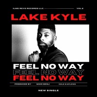 Feel No Way (Radio Edit) - Single - Lake Kyle