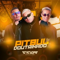 Pitbull Doutrinado - Dj Lorinho e Dj P4 (feat. Dj Lorin & DJ PQUATRO) - Single - Mc Cyclope