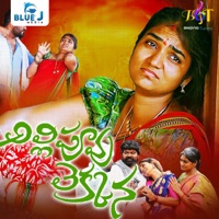 Allipuvvu Lekkana - Single - Nakka Srikanth & Lavanya Potharaju