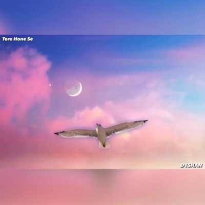Tere Hone Se - Single