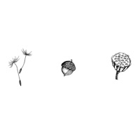 Seeds - Written By Daniel