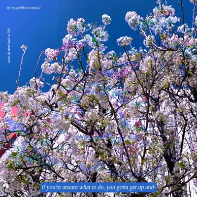 Try (feat. Turn Back To Life) [Superbloom Remix] - Single
