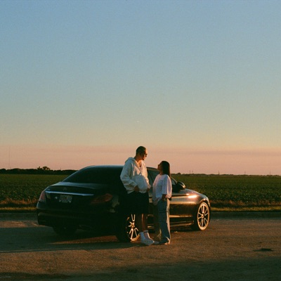 WiFeY MaTeRiaL (feat. Dimelo Dante & Ronny Leon) - Single