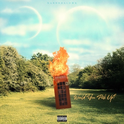 Would You Pick Up - Single