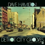 Dave Hamilton - Ain't It A Groove