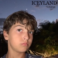 Iceyland - IceBirdCajz