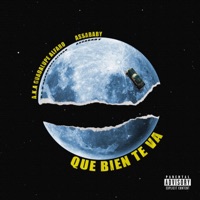 Que Bien Te Va (feat. A.K.A. Guadalupe Alfaro) - Single - Assababy