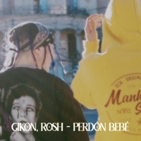Perdón Bebé (feat. Rosh) - Single - Gikon