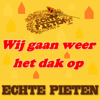 Wij Gaan Weer Het Dak Op - Echte Pieten