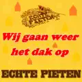Wij gaan weer het dak op