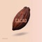 Cacao artwork