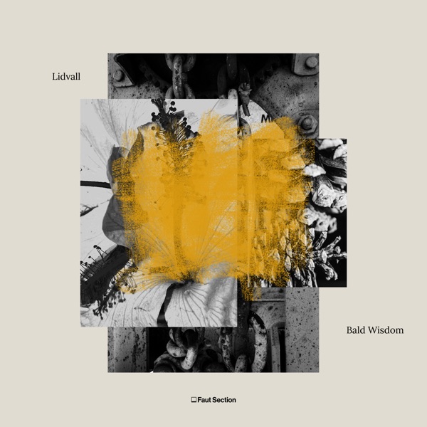 Bald Wisdom - EP