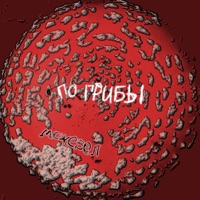 По грибы - Single - Можевел