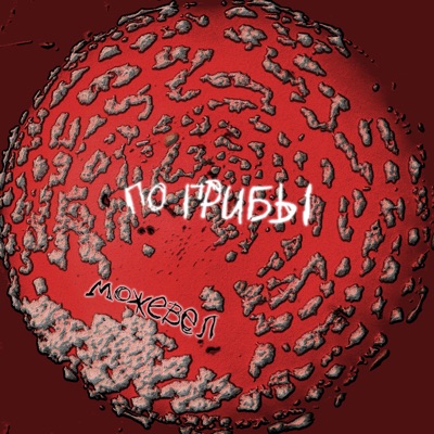По грибы - Single