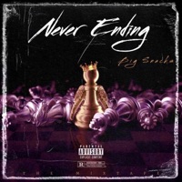 Never Ending - Big Snacks