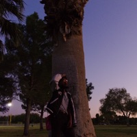 Sunset Park vol. 1 - Blake Go Wavy