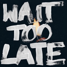 Wait Too Late artwork