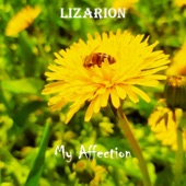 My Affection artwork