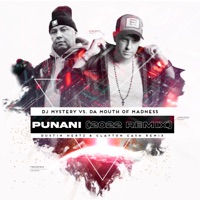 P****i 2022 (Dustin Hertz & Clayton Cash Remix) - Single - DJ Mystery & Da Mouth of Madness