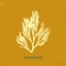 Sudden Love (Acoustic) - The Woodlands lyrics