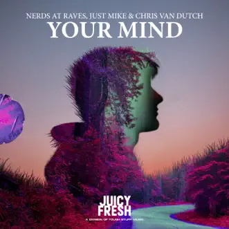 Your Mind by Nerds At Raves, Just Mike™ & Chris van Dutch song reviws