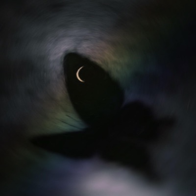 Don't Let a Good Thing Die - Single