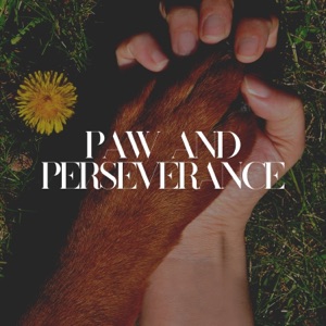 Paw and Perseverance