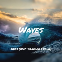 Waves (feat. Brandon Taylor) - Single - Dibbs
