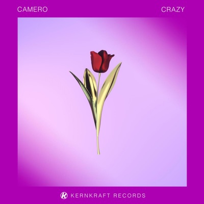 Crazy - Single