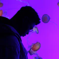 Listen to Lores, watch music videos, read bio, see tour dates & more!